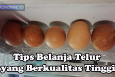 Tips Memilih Telur yang Berkualitas, Kamu Hanya Perlu Lakuin 5 Hal Ini Aja Loh