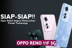 Oppo Reno 11 F Resmi Meluncur di Indonesia, Dengan Baterai 5.000 mAh dan Kamera 64 MP