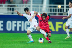 Semifinal Belum Cukup, Shin Tae Yong Mulai Bicara Peluang Juara di Piala Asia U-23, Pede Aja Lagi... 