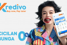 Kredivo: Pinjaman Online dan Paylater dengan Cicilan 0% dan Limit Hingga Rp30 Juta serta Approval Instan