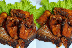 Ikan Patin Balado Resep Tradisional dengan Cita Rasa Modern yang Wajib Kamu Coba!