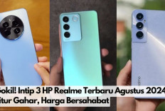 Keren! Intip 3 HP Realme Terbaru Agustus 2024, Fitur Gahar, Harga Bersahabat, Rugi Jika Terlewat.. 