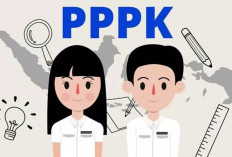 Ingin Lolos PPPK 2024? Hindari 2 Kesalahan Sepele yang Bikin Pelamar  TMS, Jangan Abaikan!