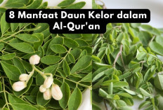 8 Manfaat Daun Kelor dalam Al-Qur'an No 2 Bisa mencegah Kerusakan pada Liver Lho...