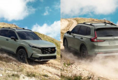 Honda CR-V TrailSport Resmi Diluncurkan! Bakal Jadi SUV Hybrid Tangguh dengan Fitur Off-Road Canggih
