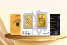 Anjlok Parah! Harga Emas Antam Terjun Bebas ke Bawah Rp2,33 Juta per Gram, Ada Apa?