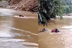 Viral Video Bidan Seberangi Sungai di Pasaman Demi Datangi Warga yang Sakit, Warganet Auto Terharu!