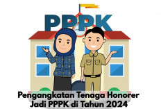 Kabar Gembira, Begini Proses Pengangkatan Tenaga Honorer Jadi PPPK di Tahun 2024