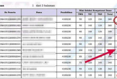 Pengumuman SKD Sudah Keluar, Peluang Khusus Peserta Pemilik Kode P Jika Penuhi Syarat ini