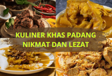 Nagih Banget! 5 Kuliner Khas Padang yang Mantap dan Sedap, Rasa Enaknya Bikin Melayang