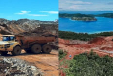 Terungkap! Ini Daftar 5 Perusahaan yang Kantongi Izin Tambang di Raja Ampat, Hanya 1 yang Aktif