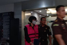 Diduga Halangi Penyidikan Korupsi Timah dan Gula, Marcella Santoso Resmi Jadi Tersangka! 