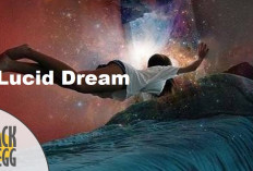 Tahukan Kamu Dengan Lucid Dream? Simak di Sini Manfaat dan Cara Mengalaminya Saat Tidur