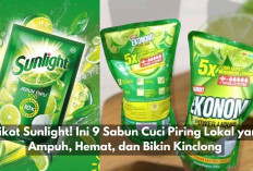 9 Rekomendasi Sabun Cuci Piring Lokal yang Ampuh, Hemat, dan Bikin Kinclong, Sunlight Boikot Aja! 