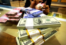 BI Bongkar Biang Kerok Rupiah Anjlok hingga Tembus Rp16.000 per USD