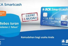 Bangun Usaha Kamu dengan BCA Smartcash! Kartu Kredit Limit 100 Juta Bunga Rendah, Penuhi Syaratnya dan Ajukan.