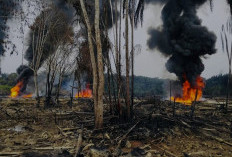 Pipa Minyak Mentah Diduga Sengaja Dirusak, Api Membara Warga Malah Berebut Kumpulkan Minyak