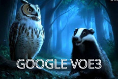 Harga Google VO3 Bikin Melongo! Tapi Ada Rahasia Pakai GRATIS Lho.. 