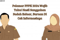 Pelamar PPPK 2024 Wajib Tahu! Hasil Sanggahan Sudah Keluar, Buruan Di Cek Informasinya