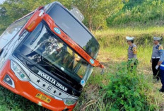 Terjadi Kembali! Kecelakaan Bus Rosalia Indah di Tol Mengakibatkan 7 Orang Tewas, Begini Kronologinya...