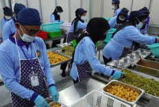 Seperti Covid, Kemenkes akan Koordinasi Laporan Rutin Keracunan Program MBG: Update Harian Mingguan 