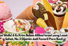 6 Es Krim Lokal yang Lezat dan Sehat Bebas Afiliasi Israel, Walls Boikot Dulu Yach! 