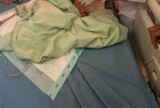 Heboh Kasus Cacingan Akut di Bengkulu, Ketua IDAI Ingatkan Pentingnya Pencegahan Sejak Dini