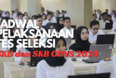 Sobat CPNS 2024 Merapat! Jadwal Tes SKD & SKB Kemendikbud Udah Rilis, Jangan Sampai Gak Tau!