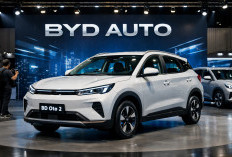 Mobil Listrik Murah BYD Atto 2 Harga Rp200 Jutaan Super Gagah, Jarak Tempuh 410 Km dan Baterai 51,3 kWh