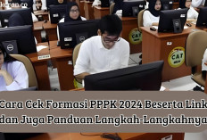 Cara Cek Formasi PPPK 2024 Beserta Link dan Juga Panduan Langkah-Langkahnya, Yuk Simak!