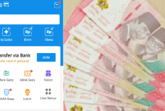 Klaim Segera Rp300.000 di 6 Link Penghasil Saldo DANA Gratis Terbaru di Bawah Ini Tanpa KTP dan Limit Harian!