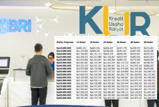 Pinjaman KUR BRI 2025 Jadi Andalan UMKM, Bunga Rendah dan Angsuran Ringan, Cek Simulasinya Disini!