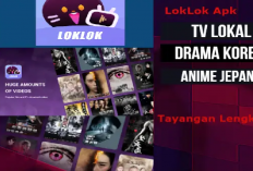 5 Aplikasi Gratis Nonton Drama Korea Terlengkap, Salah Satunya Loklok-Pocket Dramas and Films