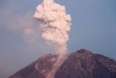 Waspada! Gunung Semeru Kembali Erupsi, Letusan Abu Vulkanik Mencapai Ketinggian 500 Meter, Status Level Siaga