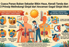 Cuaca Panas Bukan Sekadar Bikin Haus, Kenali Tanda dan 3 Prinsip Melindungi dari Ancaman Gagal Ginjal Akut