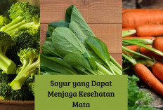 Bukan Cuma Wortel! Ternyata 7 Sayur ini Dipercaya Bisa Membantu Jaga Kesehatan Mata, Ada Apa Aja Ya?