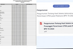  Ayo, Cek Sekarang! Pengumuman Hasil Seleksi Administrasi CPNS BPK RI 2024, Ini Linknya