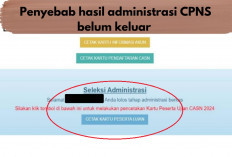 Pelamar CPNS 2024 Wajib Tahu! Mengapa Belum Menerima Hasil Seleksi Administrasi, Ini Penyebabnya