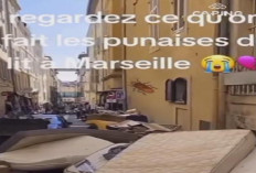 Wabah Kutu Busuk Mengguncang Prancis, Warga Buang Kasur dan Perabotan di Jalan
