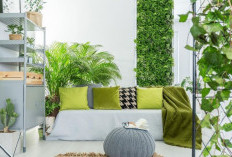 5 Tanaman Hias Terbaik untuk Vertical Garden agar Rumah Minimalis Terlihat Lebih Adem