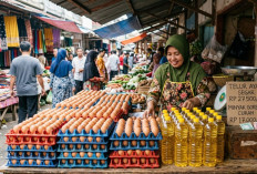 Badai Inflasi Dapur? Harga Cabai Rawit Tembus Ratusan Ribu dan Telur Ayam Naik Drastis