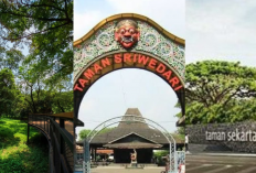 Liburan Hemat di Tengah Kota! Ini 3 Taman Terindah di Solo yang Bikin Pikiran Segar Kembali