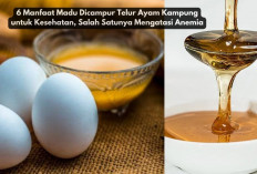 6 Manfaat Madu Dicampur Telur Ayam Kampung untuk Kesehatan, Salah Satunya Mengatasi Anemia