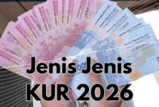 Jenis KUR 2026 untuk Pemula, Mana yang Cocok untuk Bisnis Baru?
