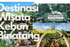 5 Destinasi Wisata Kebun Binatang Terbaik & Seru di Indonesia, No. 4 Masuk Top 10 se-Asia Tenggara!