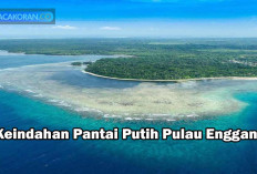 Keindahan Pulau Enggano: Permata Tersembunyi di Selatan Sumatra