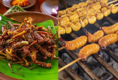 BGN Pertimbangkan Ulat Sagu hingga Belalang Jadi Menu Program Makan Bergizi Gratis, Halal Gak Sih?