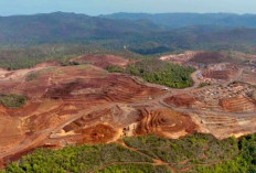 Dianggap Meresahkan, PT Gag Nikel di Raja Ampat Kembali Beroperasi, Ini Alasan Menteri ESDM Berikan Izin!