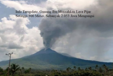 Info Terupdate, Gunung Ibu Muntahkan Lava Pijar Setinggi 800 Meter, Sebanyak 2.053 Jiwa Mengungsi