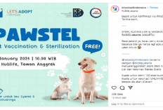 Hanya Untuk 100 Pendaftar Pertama, Sterilisasi dan Vaksinasi Kucing Gratis di Jakarta, Berikut Persyaratannya!